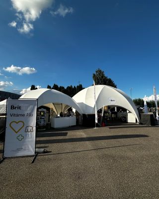 Naše stany Creative Structures pro @mvp_events_czech na BRIT Mistrovství České republiky v agility 2025. #MCRAgility...